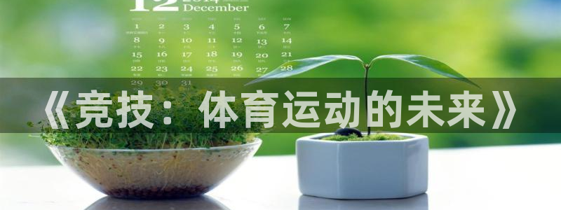 vsport体育官方正版app集团官网网址