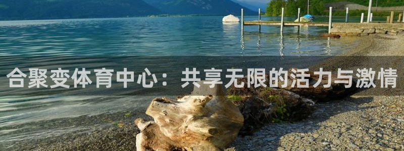 vsport体育官网下载招商电话号码：合聚变体育中心