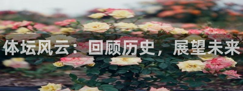 vsport体育官方正版app娱乐40996：体坛风云：回顾