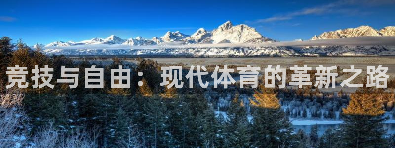 vsport体育官网下载：竞技与自由：现代体育的革新之路