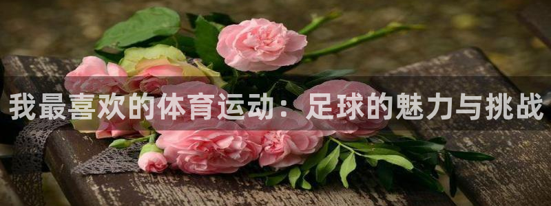 vsport体育官网下载联系电话：我最喜欢的体育运动