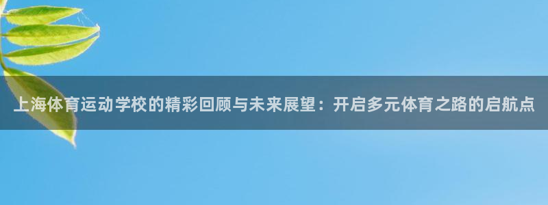 vsport体育官网下载是干嘛的公司：上海体育运动学校的精彩