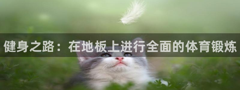 vsport体育官网下载是干嘛的公司：健身之路：在地板上进行
