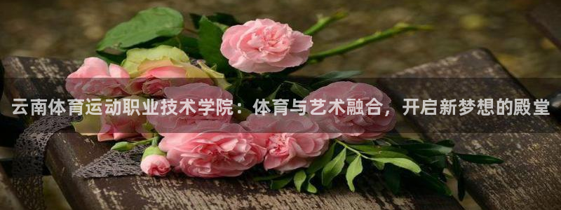 vsport体育官方正版app娱乐网站：云南体育运动