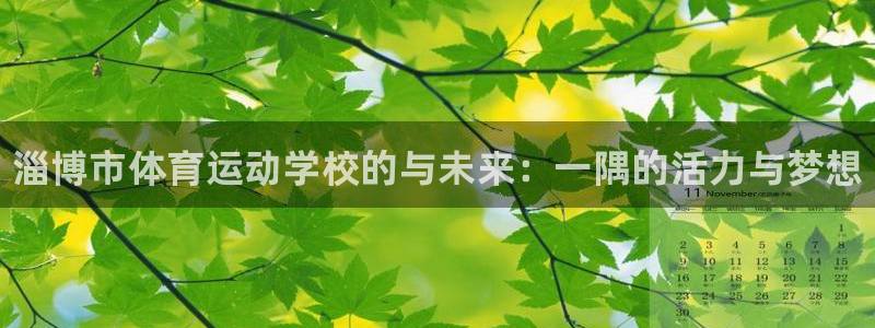 vsport体育官网下载招商：淄博市体育运动学校的与