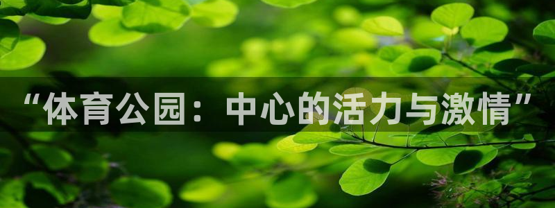 vsport体育官网下载招商电话号码