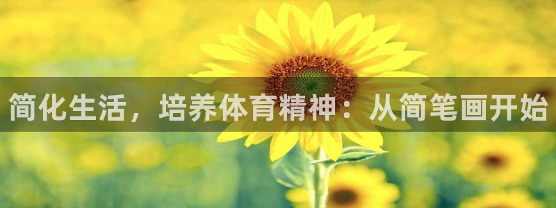 vsport体育官网下载平台是正规平台吗安全吗