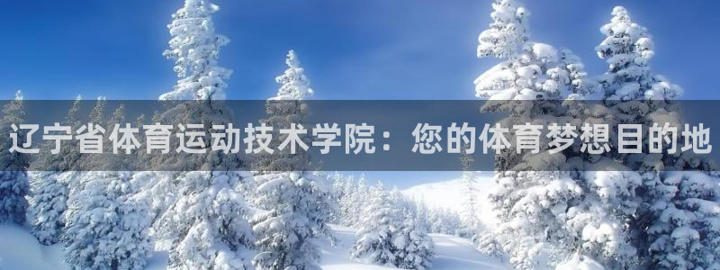 vsport体育官网下载招商电话地址查询：辽宁省体育