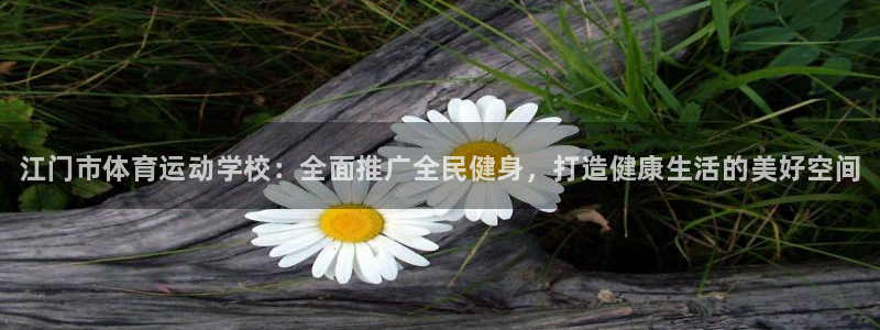 vsport体育官方正版app集团logo：江门市体
