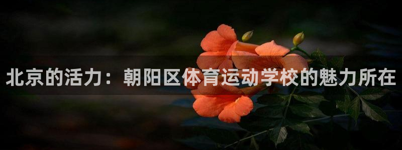 vsport体育官方正版app集团官网首页：北京的活力：朝阳