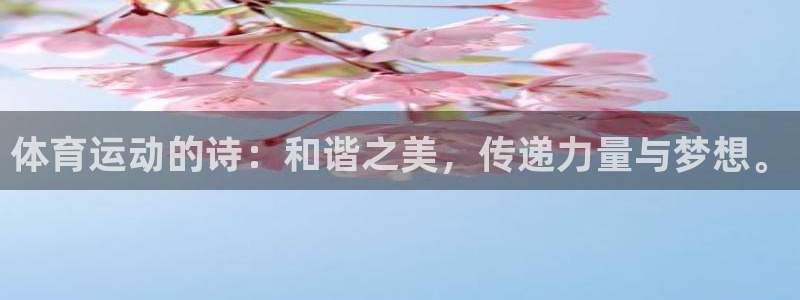 vsport体育官方正版app官方：体育运动的诗：和谐之美，