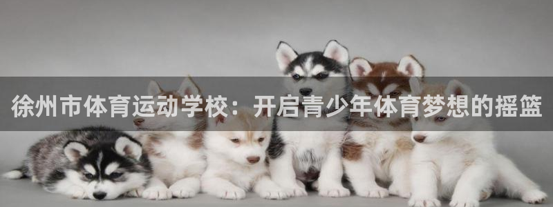 vsport体育官网下载平台是正规平台吗安全吗：徐州市体育运