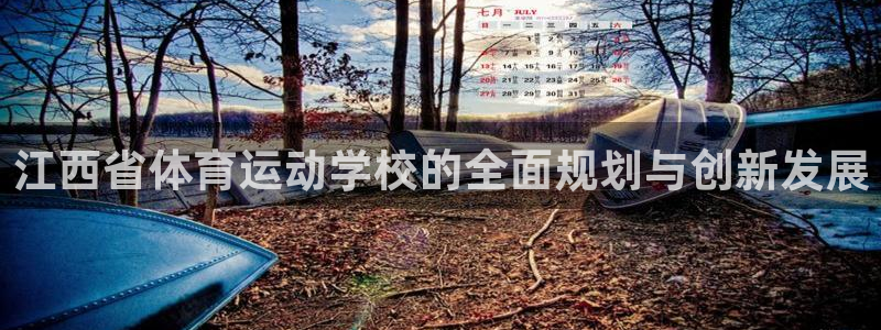 vsport体育官方正版app集团logo