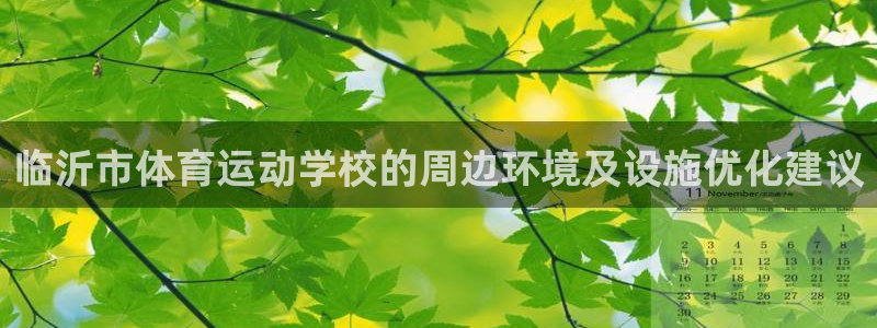 vsport体育官网下载招商电话：临沂市体育运动学校的周边环