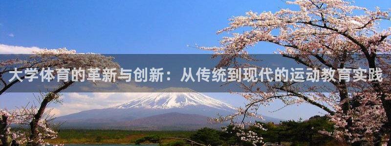德国vsport体育官方正版app集团