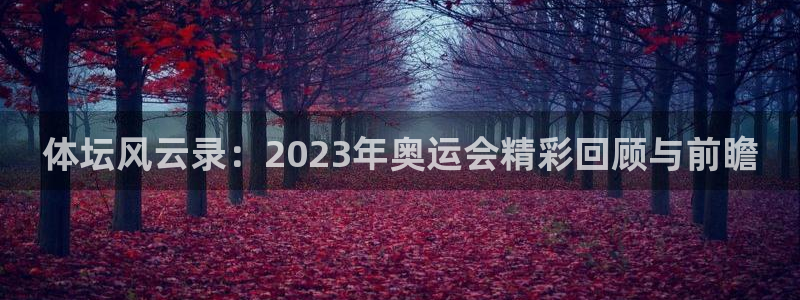 vsport体育官方正版app集团官网首页：体坛风云