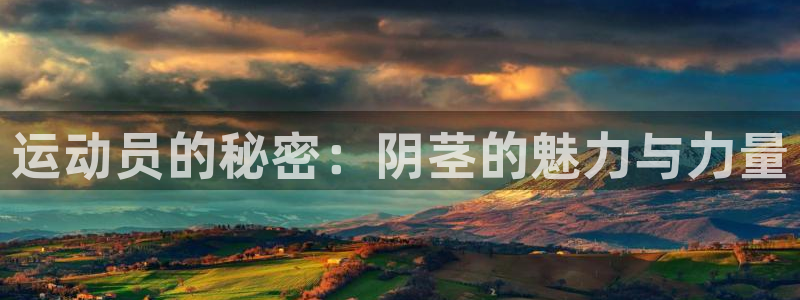 vsport体育官网下载平台注册要钱吗：运动员的秘密