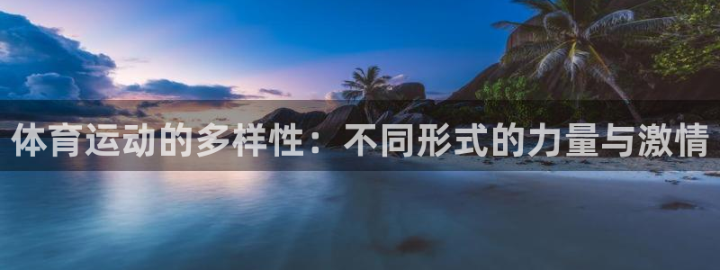 vsport体育官方正版app官方