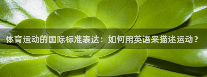 vsport体育官网下载注册：体育运动的国际标准表达
