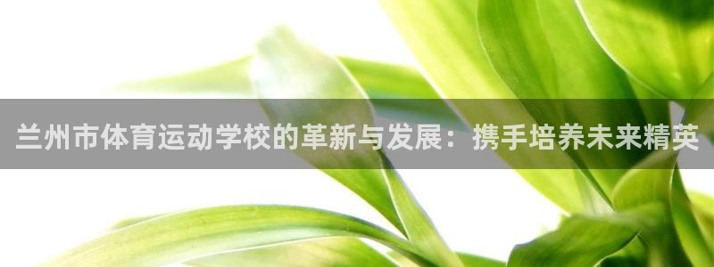 vsport体育官方正版app集团：兰州市体育运动学