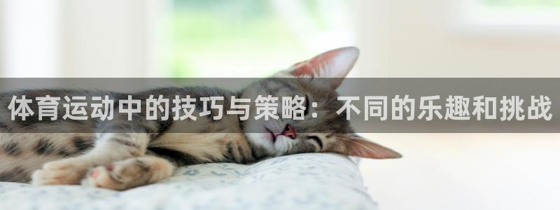vsport体育官网下载平台注册：体育运动中的技巧与