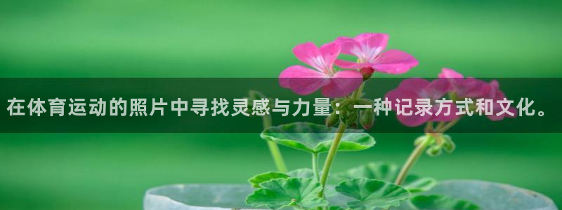 vsport体育官网下载软件：在体育运动的照片中寻找