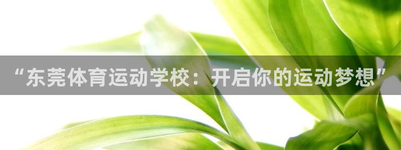 vsport体育官网下载平台假的吗是真的吗：“东莞体