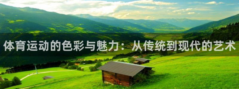 vsport体育官网下载招商电话是多少号码：体育运动