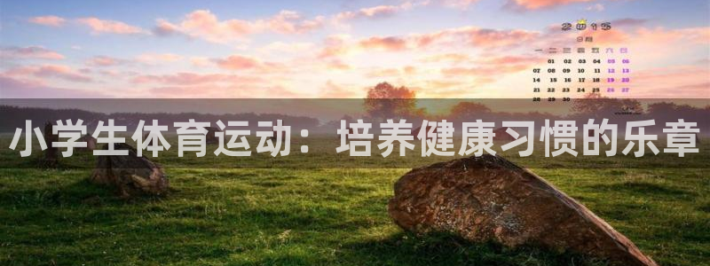 vsport体育官方正版app娱乐下载：小学生体育运动：培养