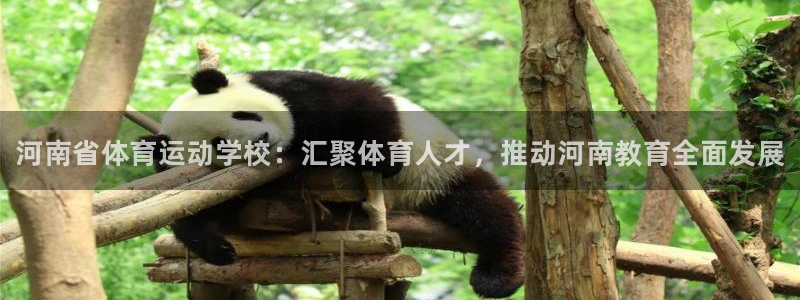 vsport体育官网下载招商电话：河南省体育运动学校：汇聚体