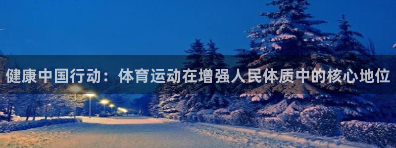 vsport体育官网下载官方客服电话