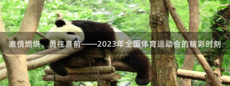 vsport体育官网下载平台假的吗是真的吗吗：激情燃烧，勇往