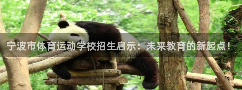 vsport体育官方正版app集团官网首页网址：宁波市体育运