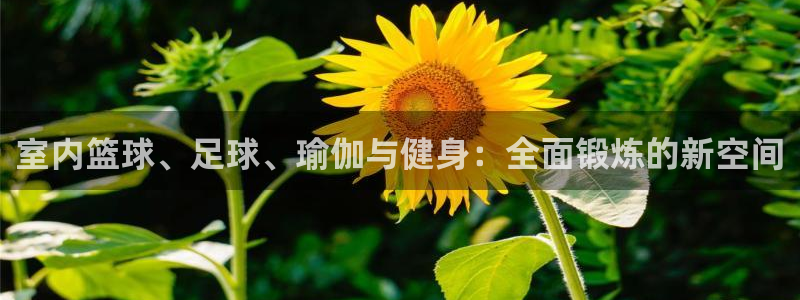 vsport体育官网下载招商电话号码是多少：室内篮球、足球、