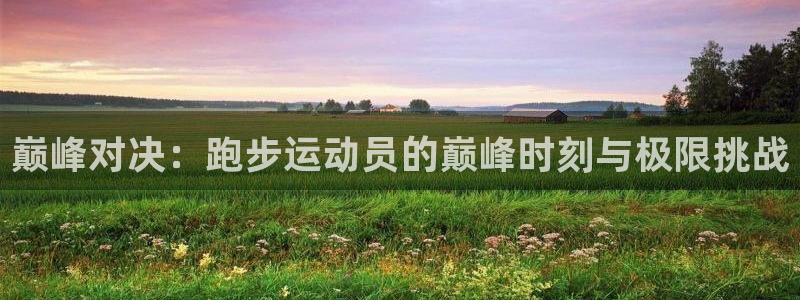 vsport体育官网下载平台是正规平台吗安全吗：巅峰对决：跑