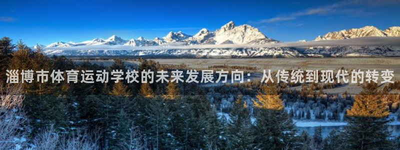 vsport体育官网下载招商电话地址查询：淄博市体育运动学校