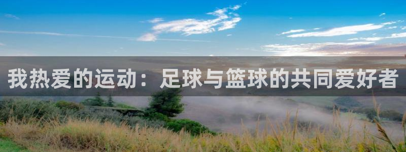 vsport体育官网下载招商电话：我热爱的运动：足球与篮球的