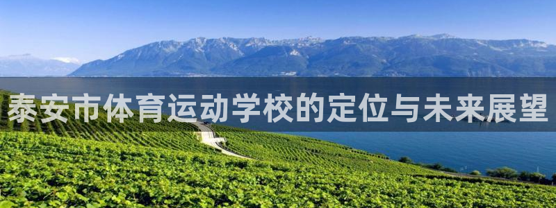 vsport体育官方正版app娱乐首页网站大全:泰安市体育运