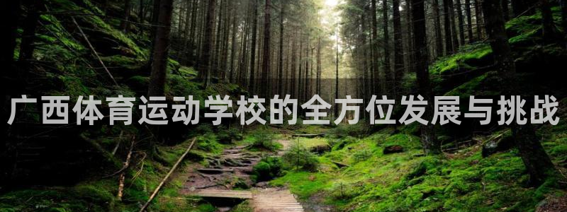 vsport体育官方正版app神州