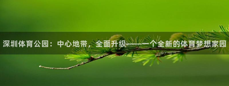 vsport体育官方正版app娱乐