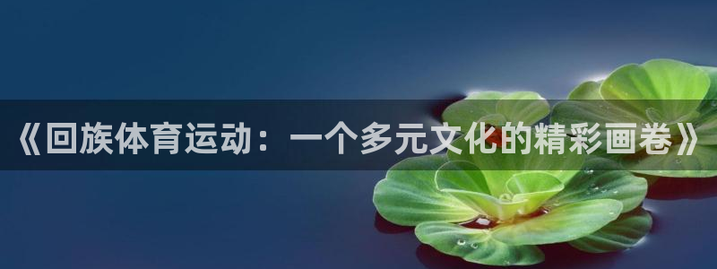 vsport体育官方正版app娱乐下载：《回族体育运