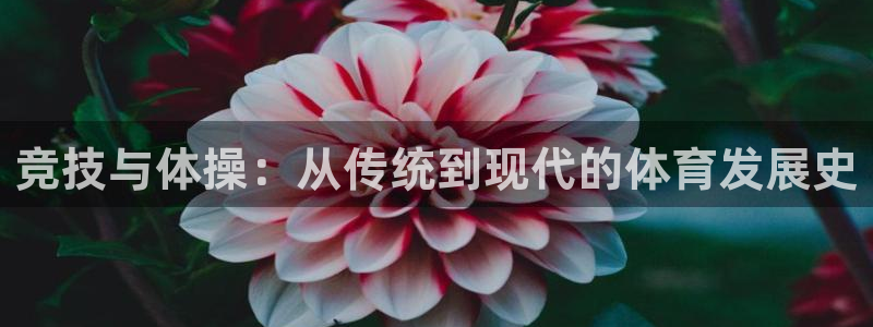 vsport体育阿根廷