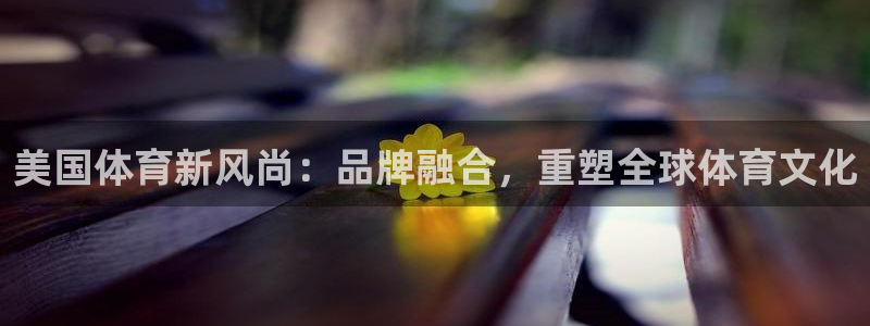 vsport体育官网：美国体育新风尚：品牌融合，重塑全球体育