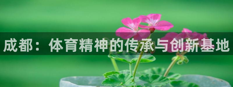 VSport体育平台-胜利因您更精彩：成都：体育精神的传承与