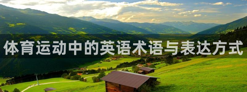 vsport体育平台：体育运动中的英语术语与表达方式