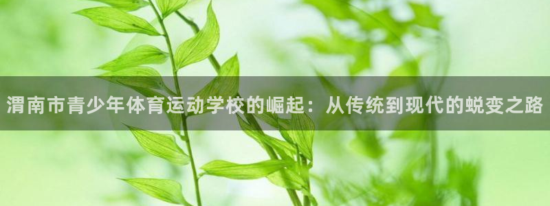  vsport体育阿根廷：渭南市青少年体育运动学校的崛起：从传