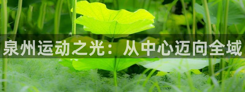 Vsport体育官网：泉州运动之光：