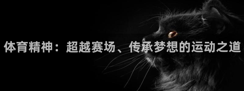 vsport体育在线官网阿根廷：体育精神：超越赛场、传承梦想