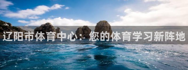 vsport体育平台：辽阳市体育中心
