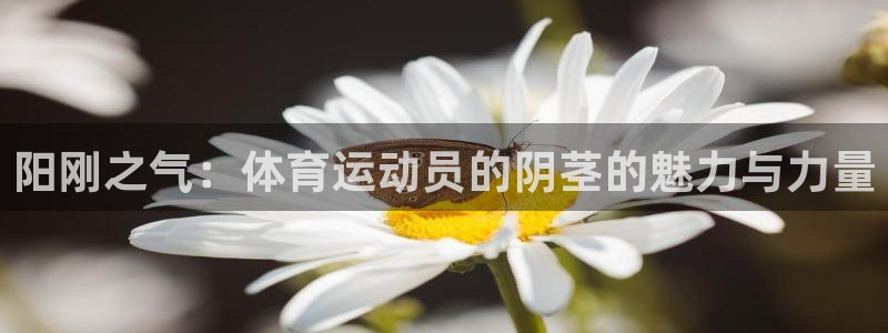Vsport体育官方网站入口：阳刚之气：体育运动员的阴茎的魅